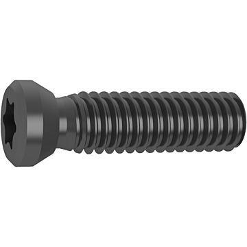 Torx-Plus clamping screws Torx-Plus clamping screws