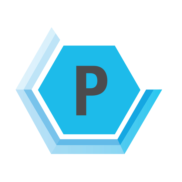 ISO Group P